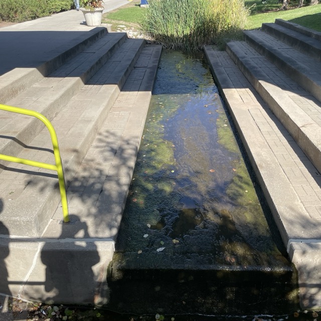 audio of the stream that flows through sheridan campus I find the sound of flowing water relaxing, it had recently rained so the water was moving faster