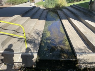 a place from the spacial workshop 1 exploration. The stream under the bridge between the C wing and B wing. it collects alge and has a lovely little waterfall sound. its a common gathering place