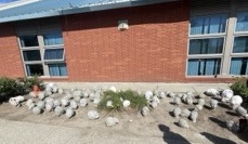 a garden full of sculptures of heads beside the walkway outside the Annie Smith building. This is an outdoor enviorment beside a red brick building. The heads seem to be made out of stone. The use for this space seems to be primarily intrest and decoration. I have not seen any plaques or signs describing any alternate meanings for the space.