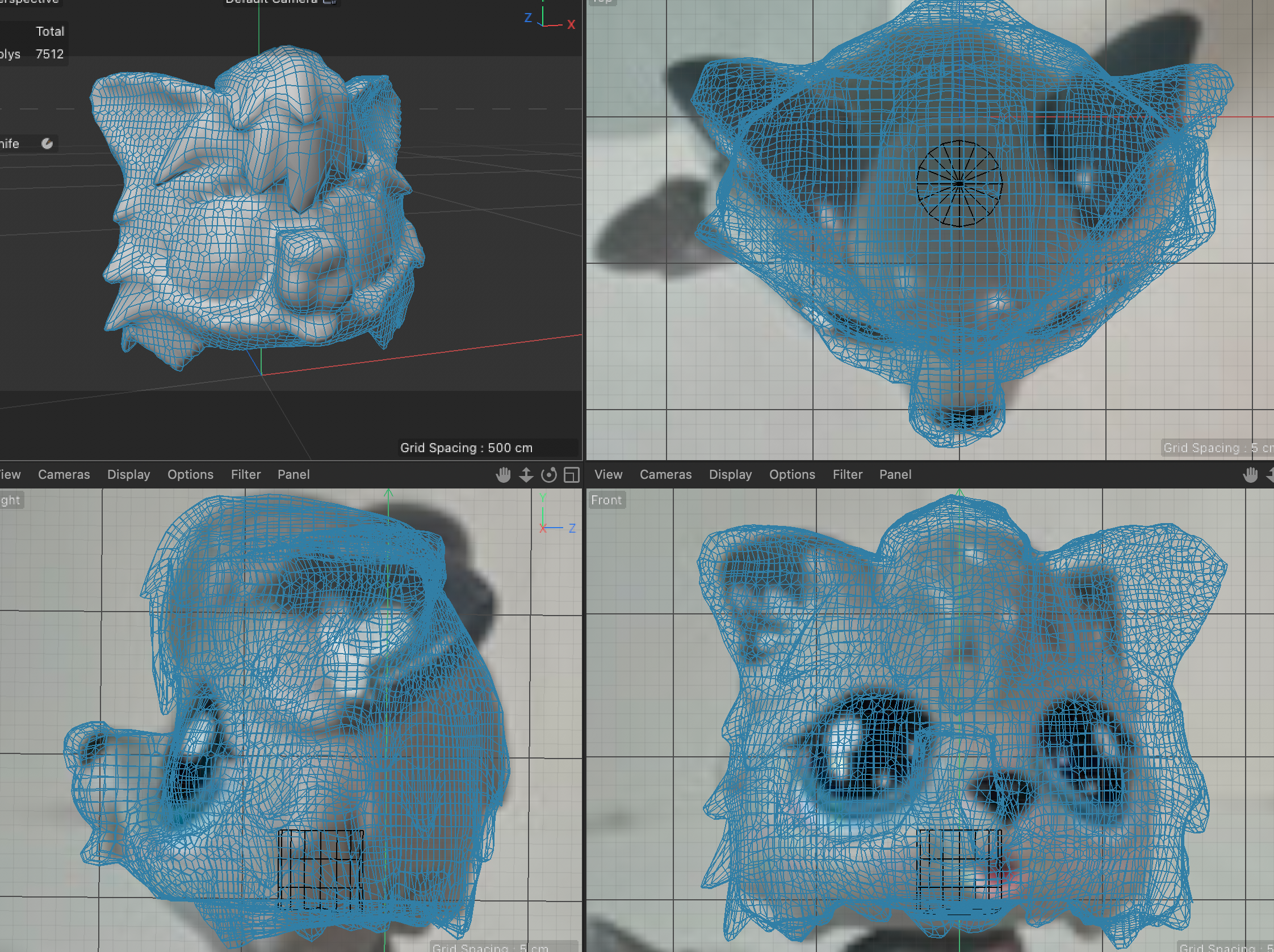 my attempt at sculpting the head. It was done the same as the body but needs some work