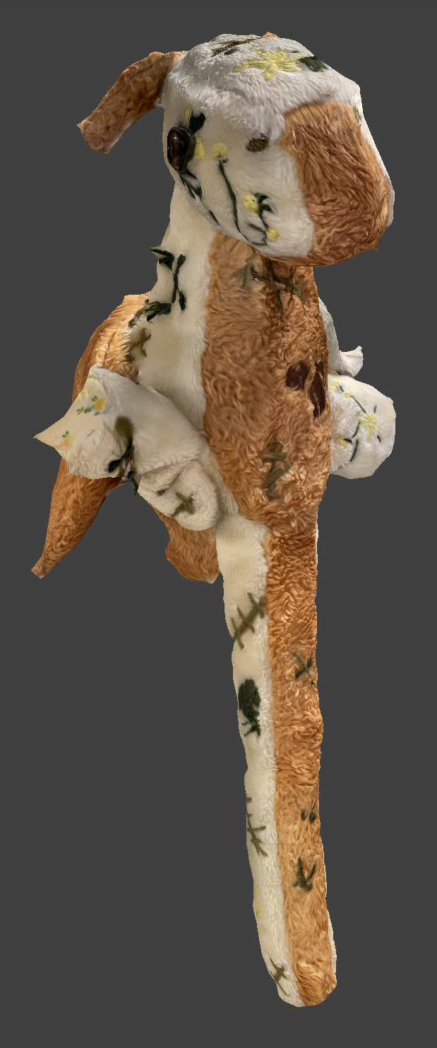 the front of lichen, now properly cropped aswell